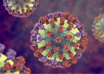 Influenza A é um tipo do vírus da gripe, podendo ter dois subtipos: H1N1 e H3N2 • KATERYNA KON/SCIENCE PHOTO LIBRARY/GettyImages