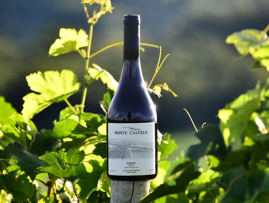 Vinho produzido na Vinícola Monte Castelo l Foto: Arquivo pessoal
