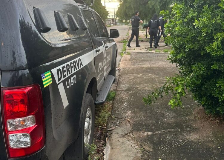 Imagem: Divulgação/PCGO