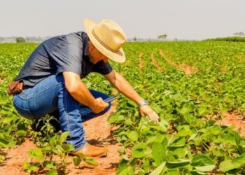 As fraudes no agronegócio têm causado prejuízos significativos, comprometendo o financiamento de safras e investimentos em infraestrutura. Imagem: Reprodução