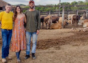 Stephan e seus filhos, Nicolaus e Clara Gaehwiler, literalmente põem a mão na massa em uma árdua rotina
para entregar aos clientes um dos queijos mais premiados e renomados do Brasil