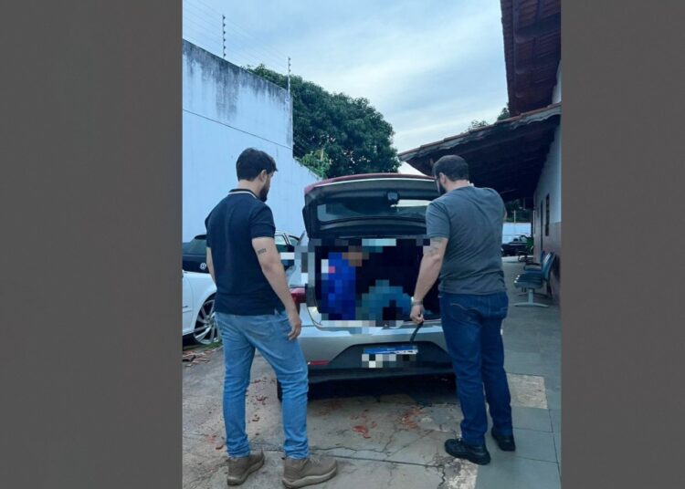 Imagem da Polícia Civil de Goianápolis