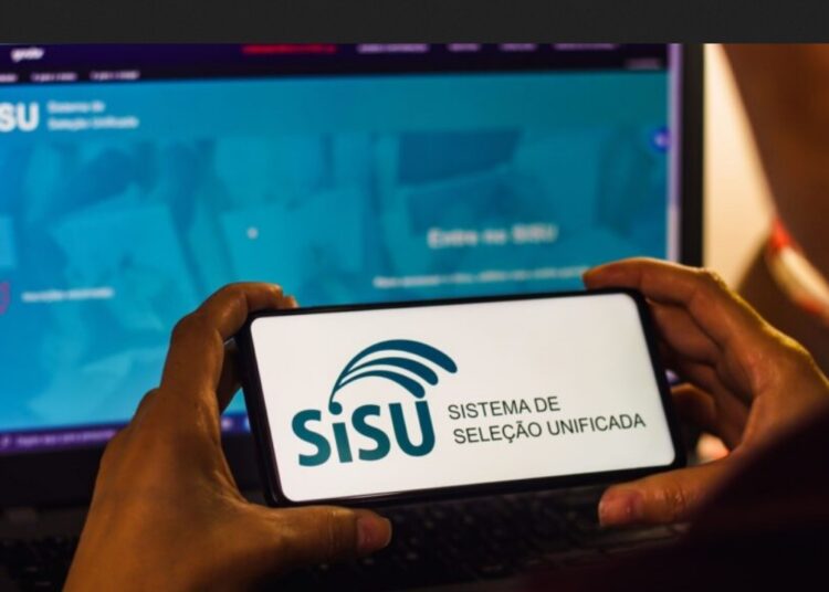 Sisu