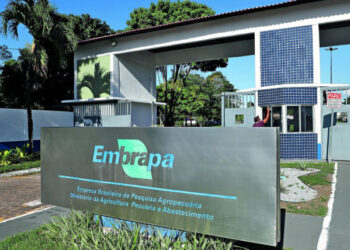 Imagem: Reprodução