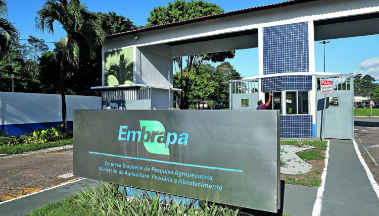 Imagem: Reprodução