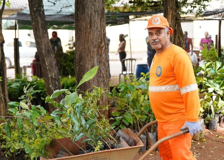 Projeto incentiva a educação ambiental