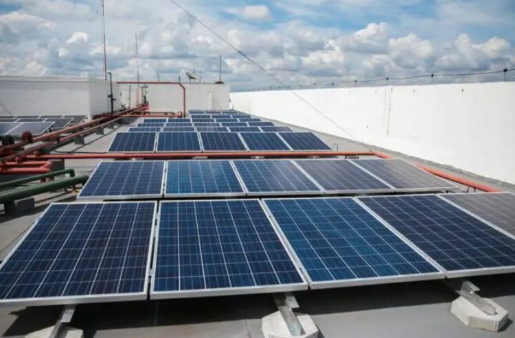 Painéis de energia solar em telhado (Foto: José Cruz/ABr)