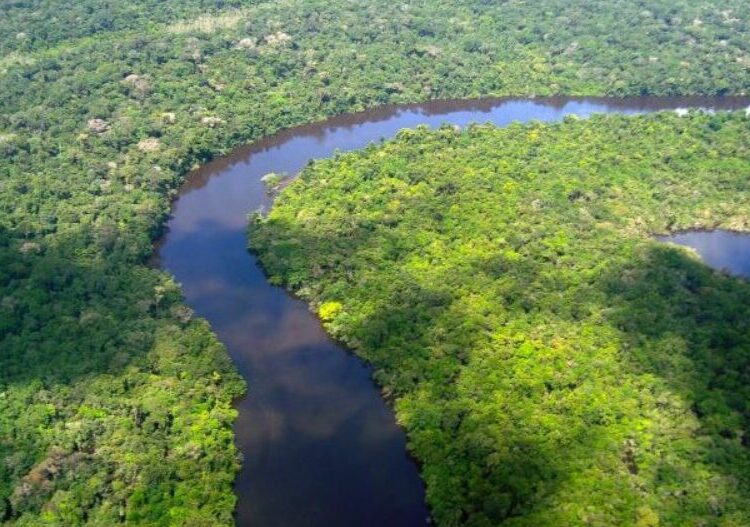 Os primeiros resultados foram publicados em dezembro em uma revista especializada internacional. Imagem: Reprodução