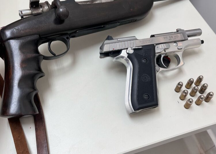 Armas- violência doméstica- Polícia Civil de Goiás