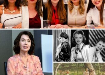 Imagem: Montagem