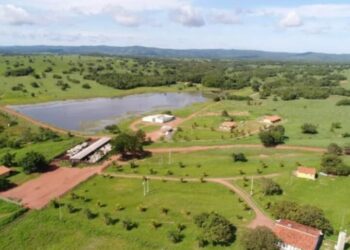 Fazenda Santa Mônica, em Corumbá de Goiás. (Foto: Reprodução/Grupo Rialma)