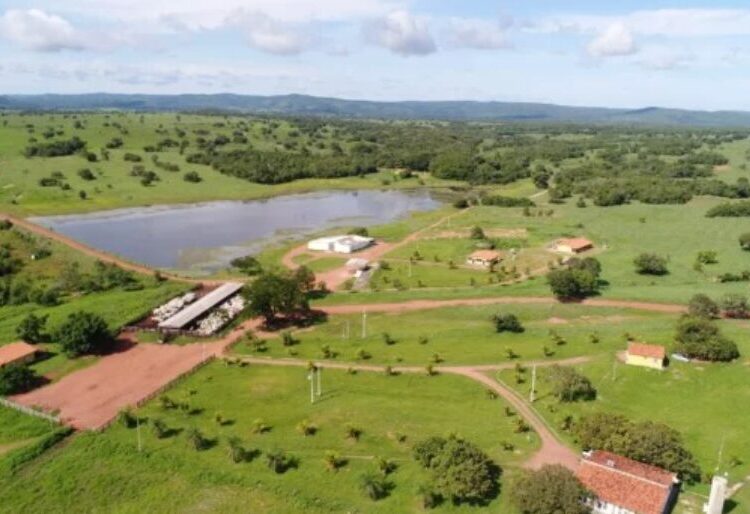Fazenda Santa Mônica, em Corumbá de Goiás. (Foto: Reprodução/Grupo Rialma)