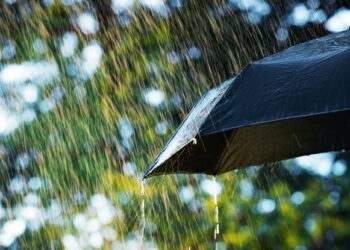 Close up of umbrella in the rain with copy space