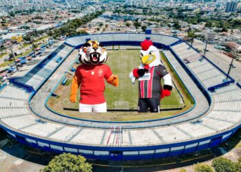 Atuação da torcida será fundamental para empurrar o time para a vitória diante do Vila Nova. Imagem: Ilustrativa