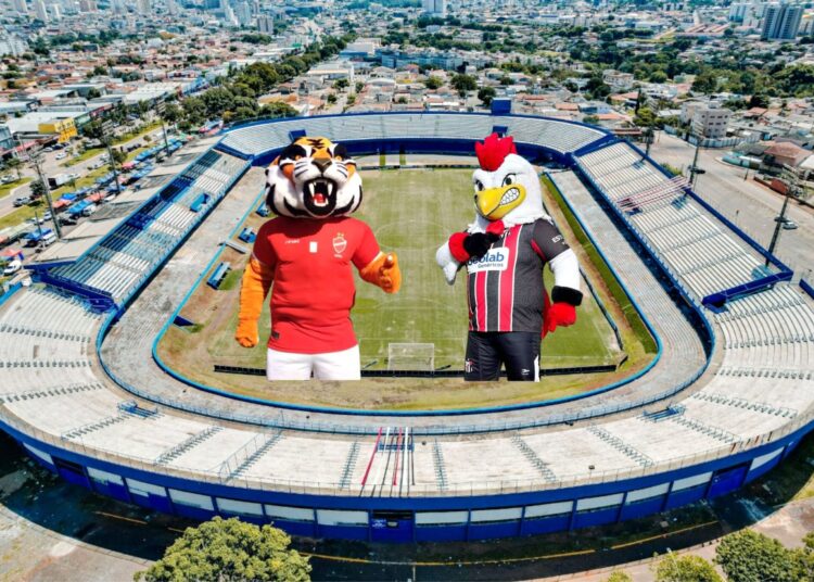 Atuação da torcida será fundamental para empurrar o time para a vitória diante do Vila Nova. Imagem: Ilustrativa