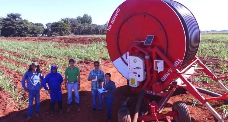 Imagem: Reprodução/Canal Bioenergia