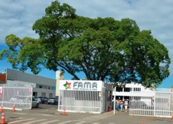 O evento reuniu gestores de 37 municípios e coordenadores regionais de Educação. Imagem: Reprodução