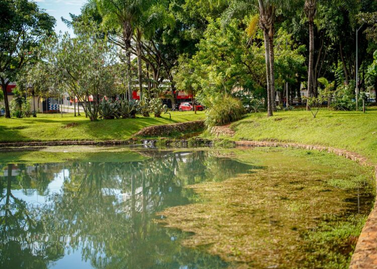 Lagos do Jardim Botânico e Parque Ipiranga, em Anápolis, começam a receber tratamento biológico para recuperação da qualidade da água. Imagem: Divulgação/Prefeitura de Anápolis