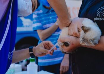 A iniciativa reforça a prevenção contra uma doença letal e ainda presente no Brasil. Imagem: Divulgação/Prefeitura de Anápolis