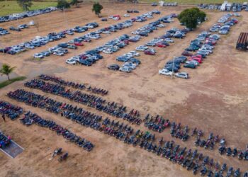 Lotes estarão disponíveis para visitação entre os dias 19 e 21 de maio (Foto: Divulgação / Detran-GO)