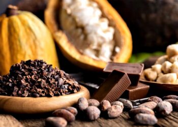 Cacau chocolate-imagem da internet