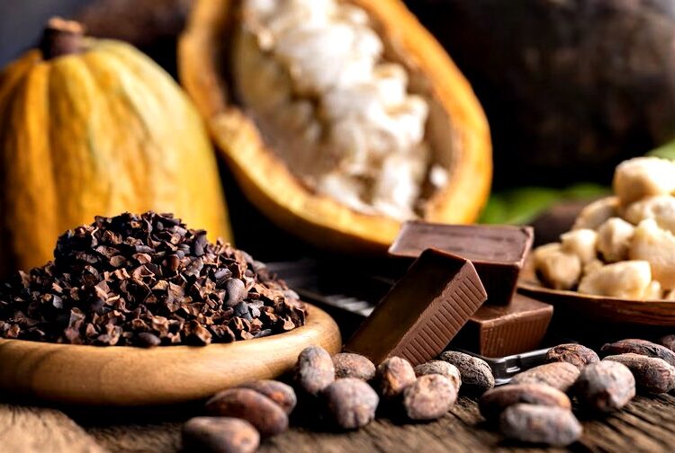Cacau chocolate-imagem da internet