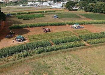 O Desafio Agro Startup 2025 vai investir R$ 720 mil em 12 projetos inovadores, com até R$ 60 mil para o desenvolvimento e validação de cada proposta. Imagem: Divulgação