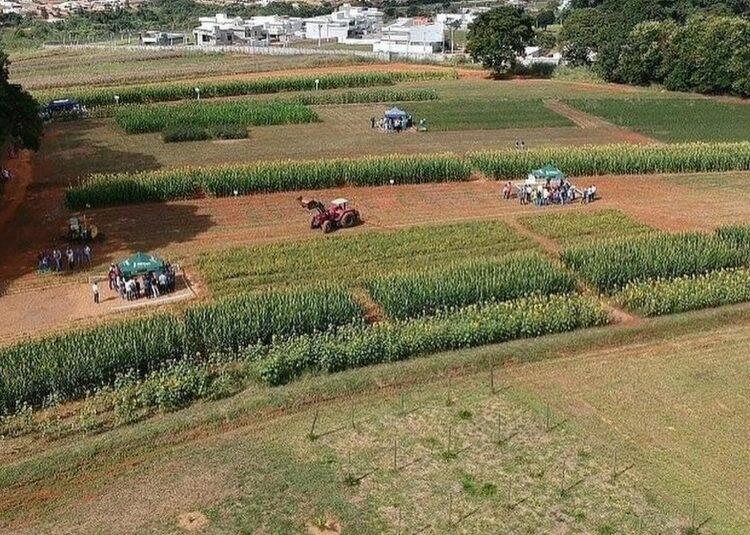 O Desafio Agro Startup 2025 vai investir R$ 720 mil em 12 projetos inovadores, com até R$ 60 mil para o desenvolvimento e validação de cada proposta. Imagem: Divulgação