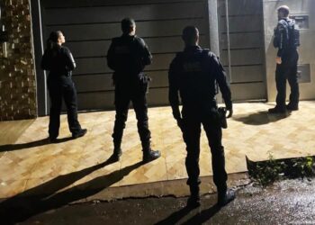 Operação Sentinela Digital- Polícia Civil- Divulgação