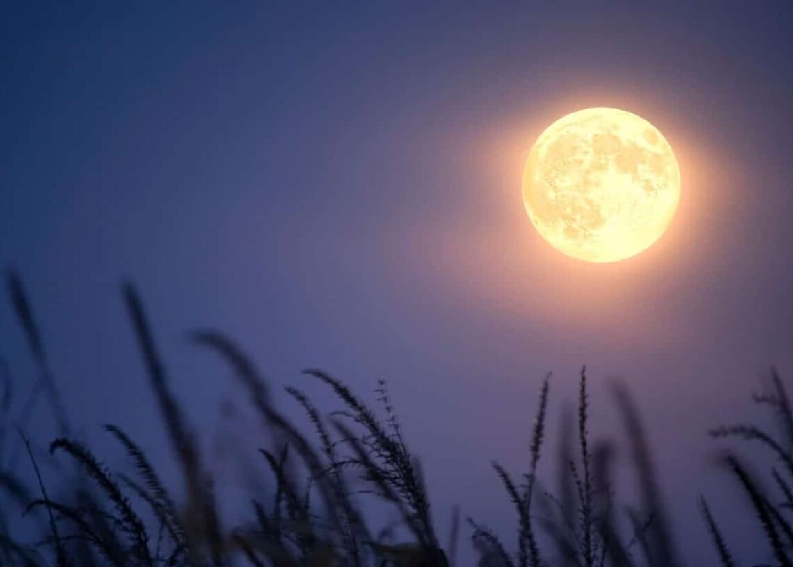 A expressão “Lua do Veado” tem origem em culturas indígenas da América do Norte. Imagem: Reprodução