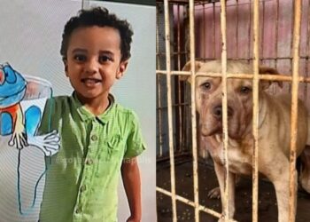 Imagem: Reprodução