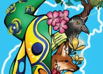 Ilustração: Kaaren Alencar Câmara/Divulgação