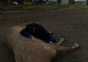 Com ração sob suspeita, fábrica envolvida em morte de 112 cavalos retoma parte da produção. Imagem: Imagem: Reprodução/Redes Sociais