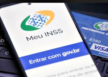 Meu INSS- Divulgação