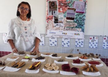 A artesã Maria Batista em sua oficina, onde transforma insumos do Cerrado em arte sustentável. Imagem: Divulgação