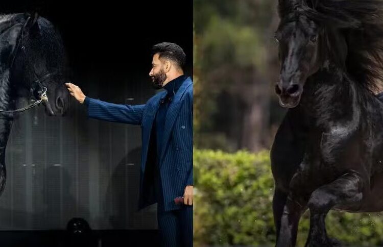 Gusttavo Lima leiloa 50% de cavalo Friesian por R$ 5 milhões em evento de luxo — Foto: Reprodução Instagram @harasembaixador_