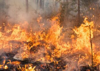 Imagem do incêndio que atingiu estação da Equatorial em Anápolis. | Foto: Divulgação