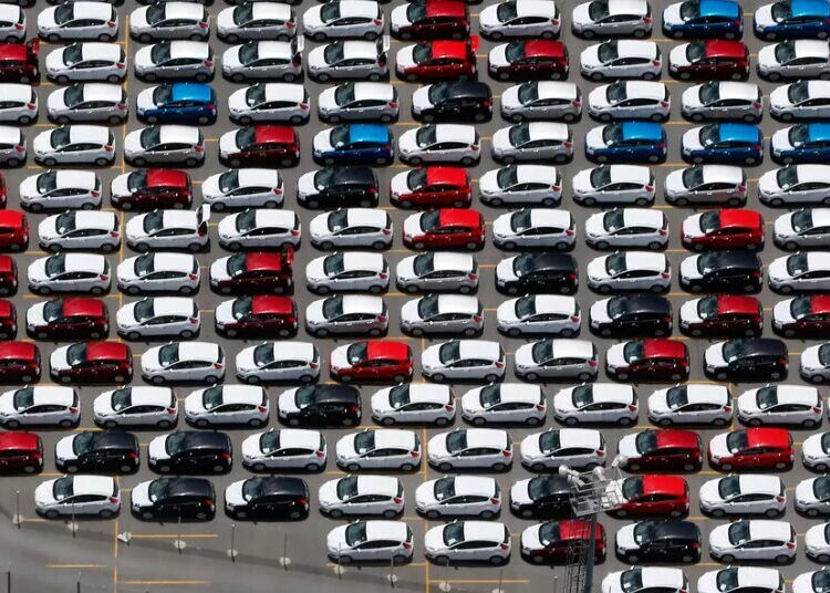 Imagem: Reprodução