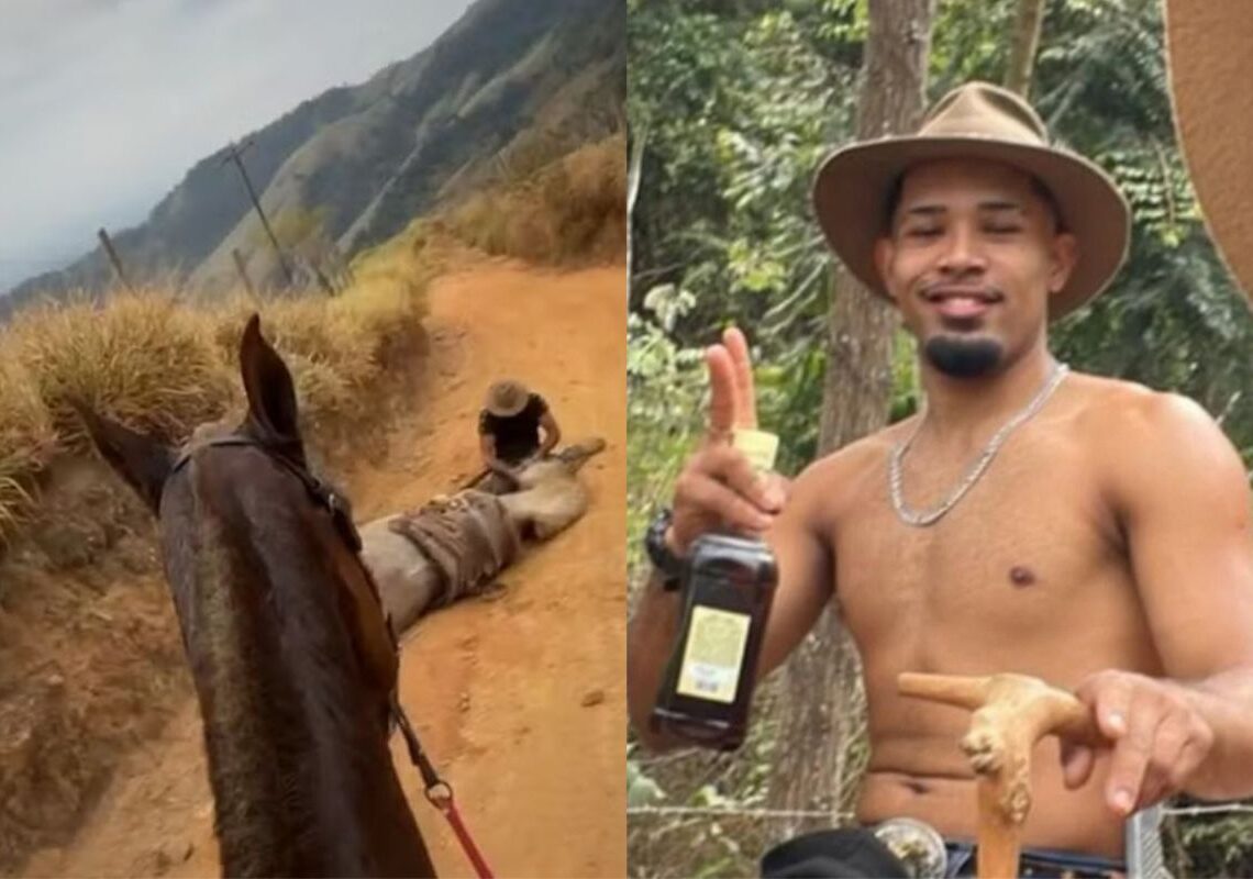Tutor de cavalo mutilado em Bananal alega que o animal já estava morto quando cortou suas patas – Foto: Reprodução/Redes sociai