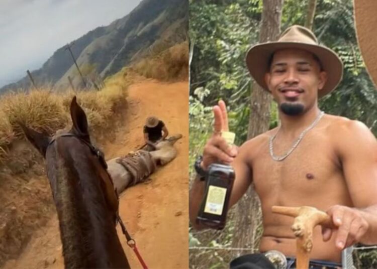 Tutor de cavalo mutilado em Bananal alega que o animal já estava morto quando cortou suas patas – Foto: Reprodução/Redes sociai