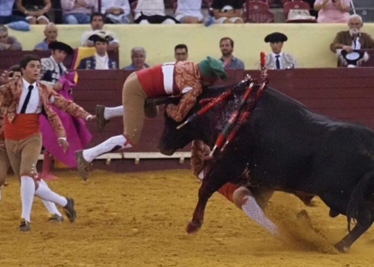 Imagem: TouroeOuro.com