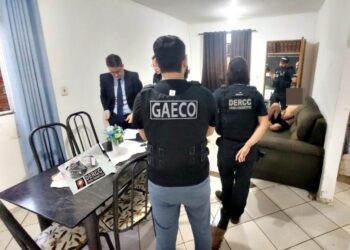 Gaeco MPGO- Divulgação