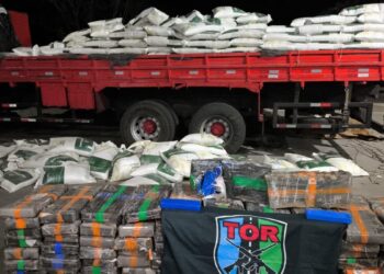PRF e PM apreendem 1 tonelada de maconha escondida em carga de ração, em Morrinhos (Foto: PRF)