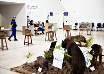 Exposição Memorial do Cerrado- Imagens Câmara Municipal
