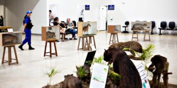 Exposição Memorial do Cerrado- Imagens Câmara Municipal