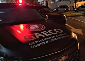 Gaeco-MPGO- Divulgação