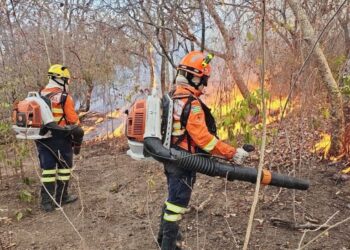 Combate a incêndio em Goiás- Corpo de Bombeiros- Divulgação