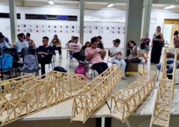 Pontes de Palito de Picolé- IFG- Imagem de Arquivo