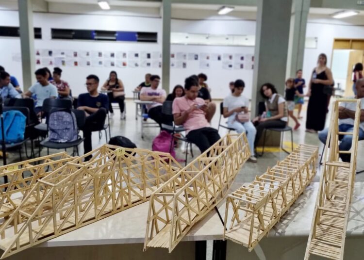 Pontes de Palito de Picolé- IFG- Imagem de Arquivo