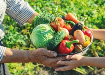 Iniciativa contribui para fortalecer o trabalho de pequenos agricultores no estado. Imagem: Freepik